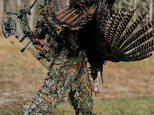 Turkey hunting with a bow - Image of a hunter in the wild carrying a compound bow, in full camouflage, with a wild turkey over his shoulder.