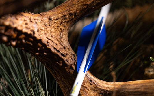 Best Vanes for Hunting