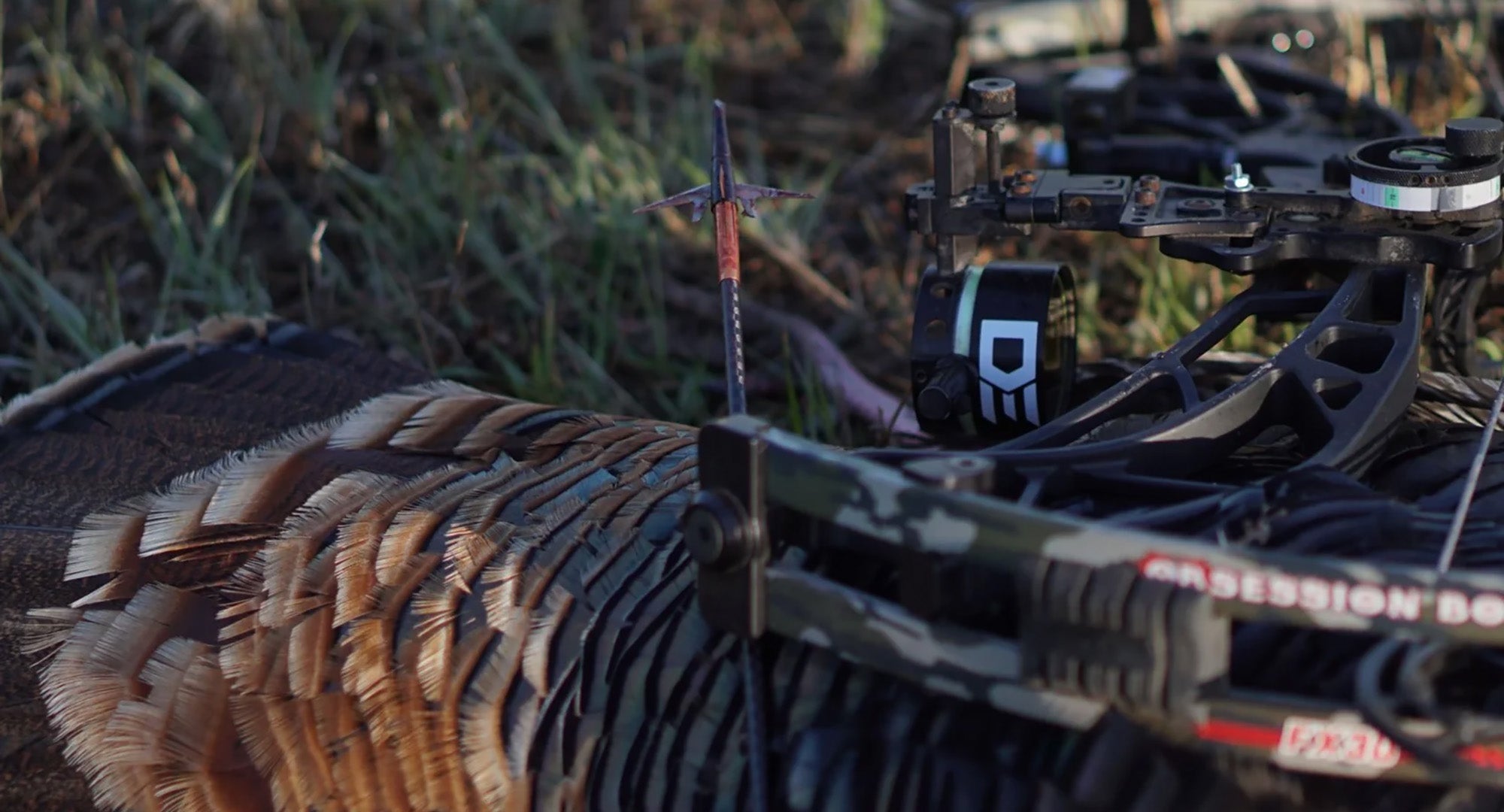 Expandable Broadheads