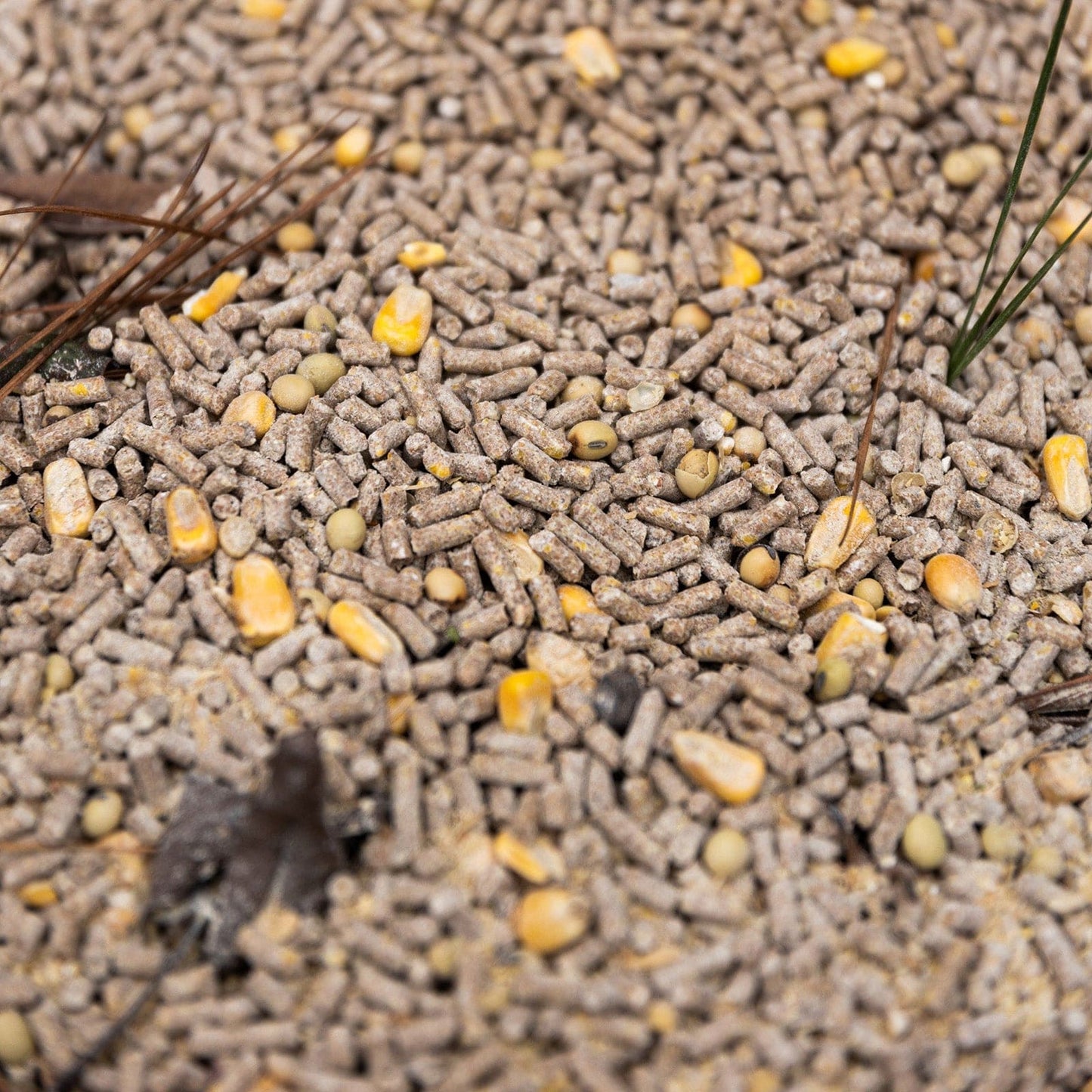X-Treme Harvest Deer Feed Pellets – High-Protein Formula to Attract Bucks