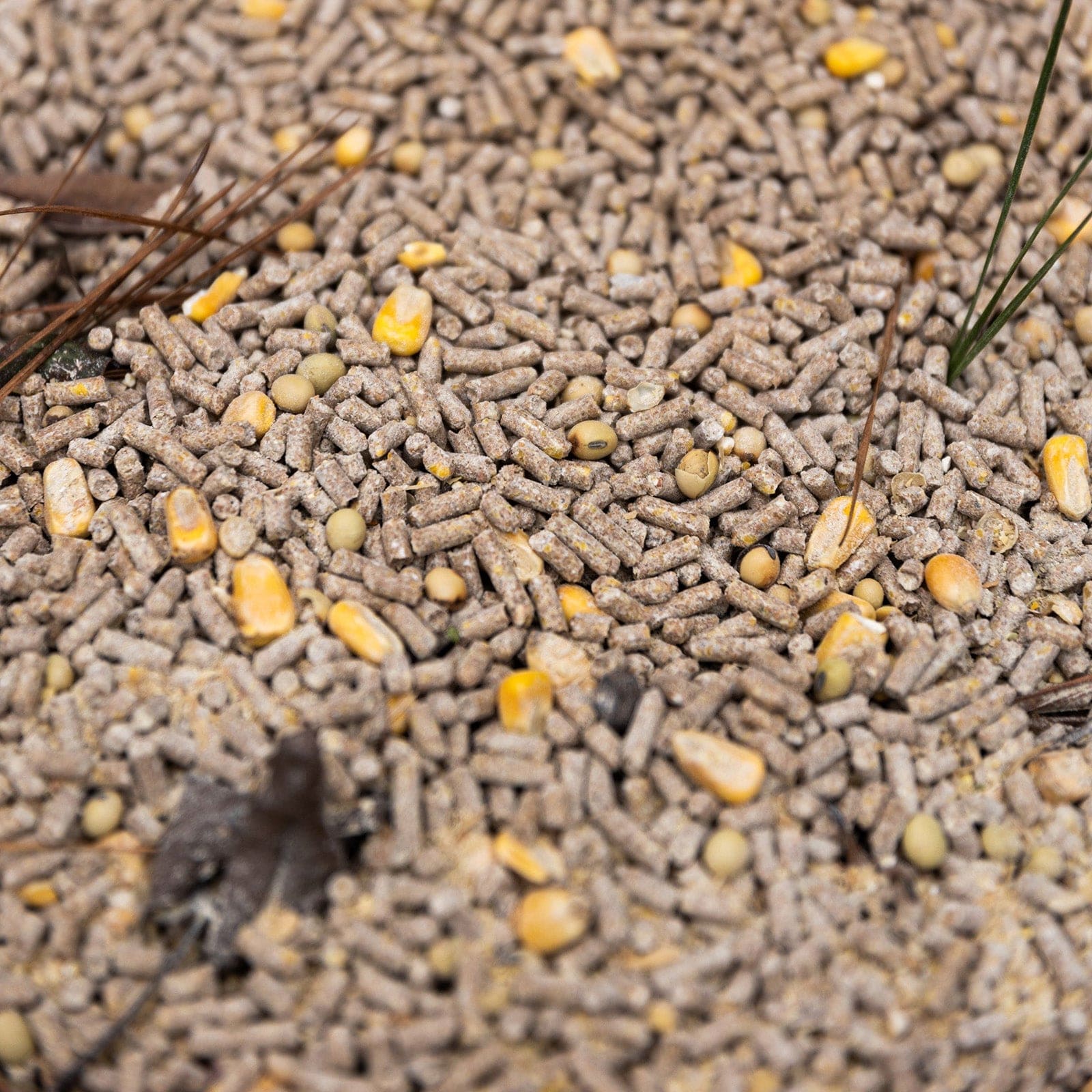 X-Treme Harvest Deer Feed Pellets – High-Protein Formula to Attract Bucks