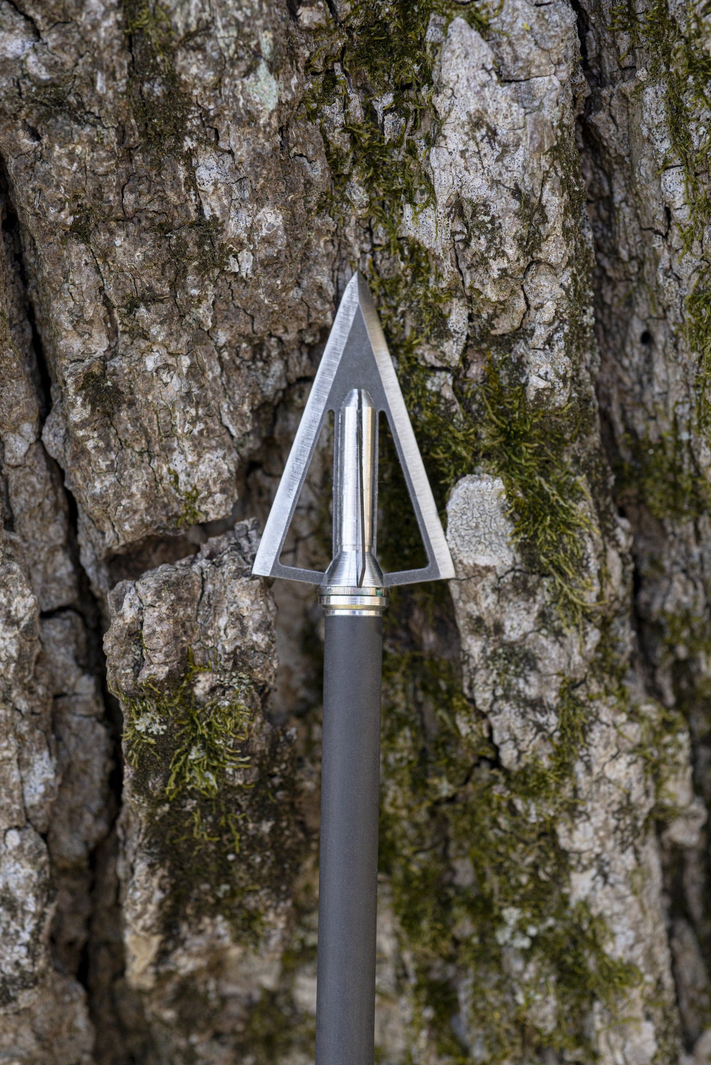 #253 Swhacker 100 Grain 1-inch Cut