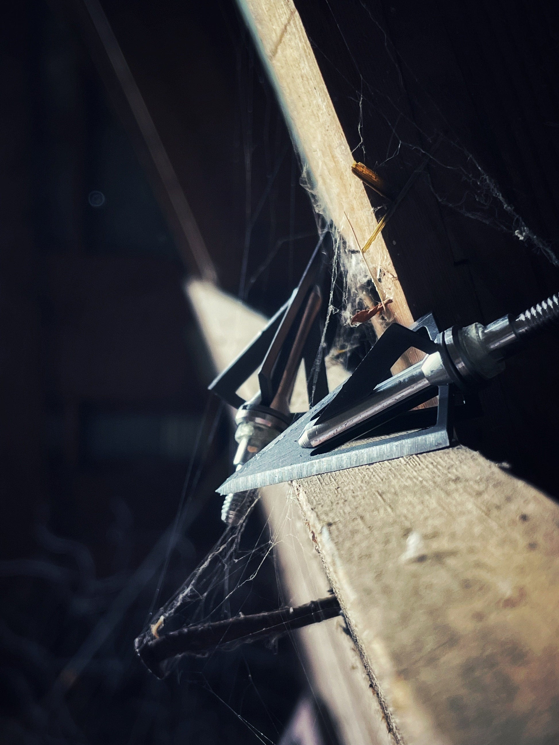 #253 Swhacker 100 Grain 1-inch Cut