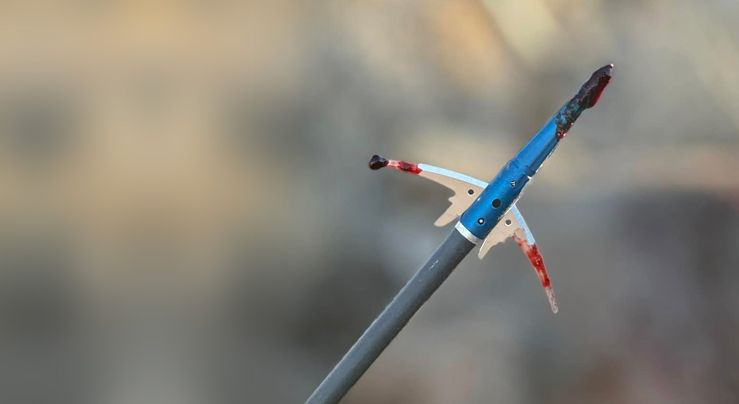 All Broadheads Except LRP
