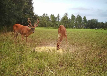 X-Treme Corn Coat Powder – Deer Attractant for Enhancing Corn & Feed Sites